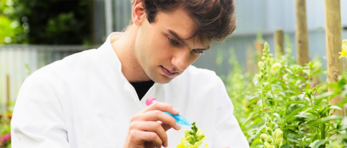 中药质量控制技术平台