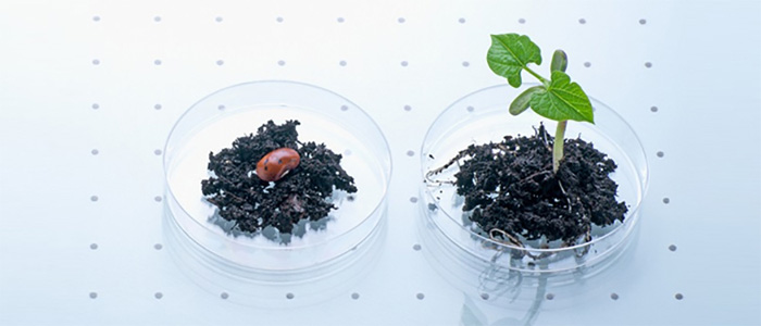 植物提取分离技术平台