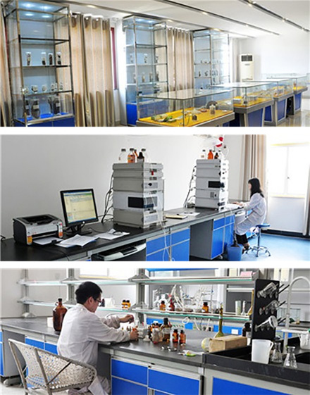 生命至上 安全第一